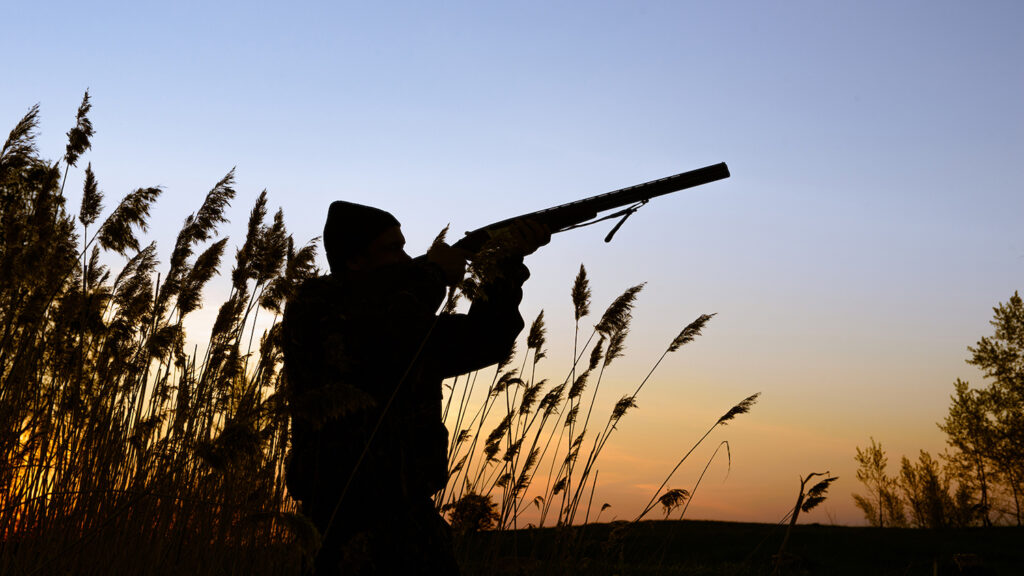 Bible Verses About Hunting